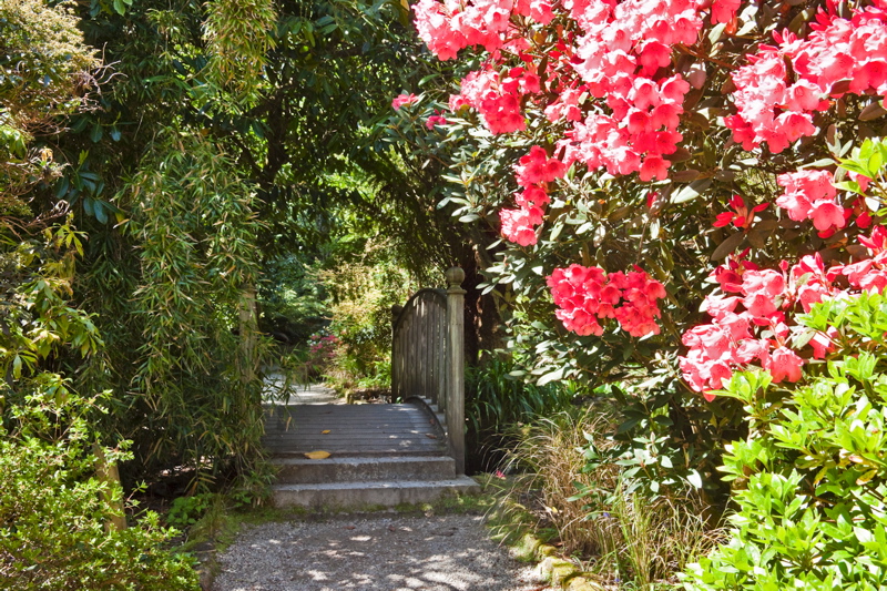 _mg_9233.jpg