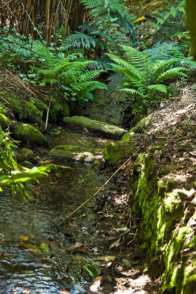 _mg_9239.jpg