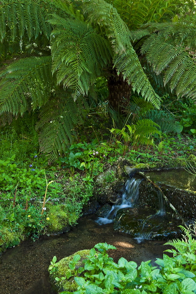 _mg_9261.jpg