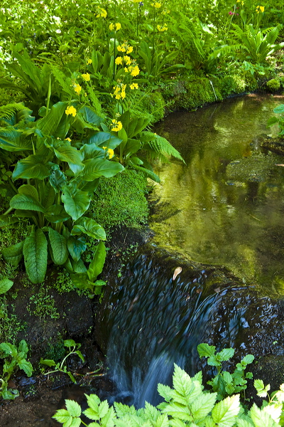 _mg_9262.jpg