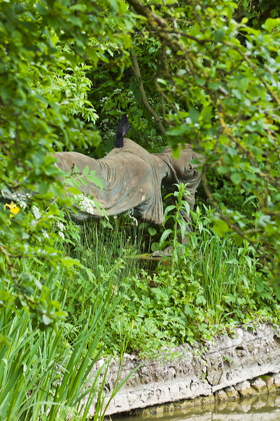 _mg_8701.jpg