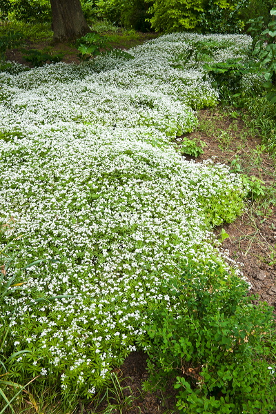 _mg_9517.jpg