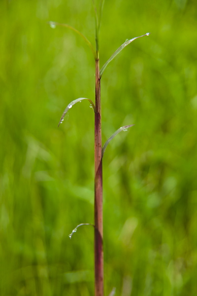 _mg_9542.jpg