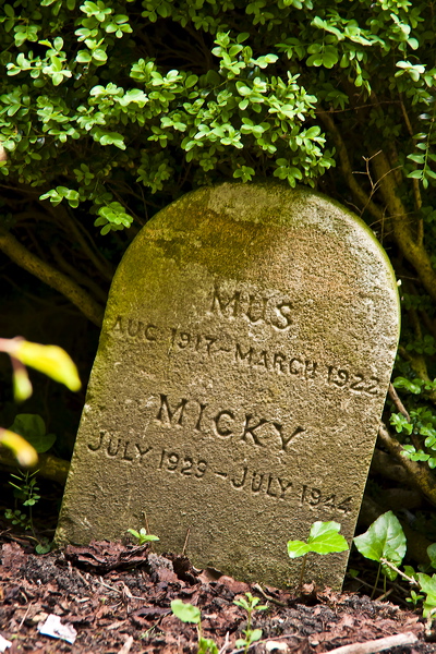 _mg_9851.jpg