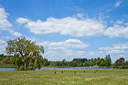 _mg_8805
