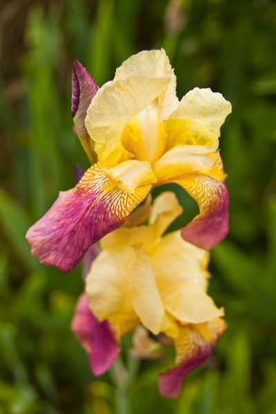 _mg_0370.jpg