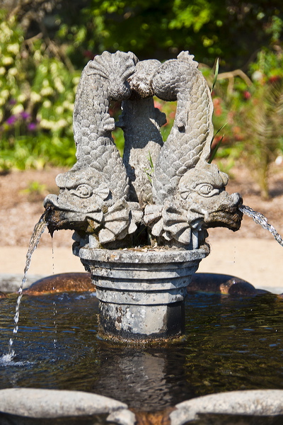 _mg_9136.jpg