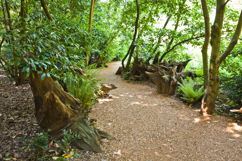 _mg_9325.jpg