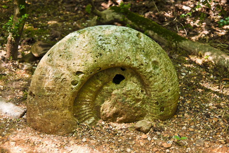 _mg_9335.jpg