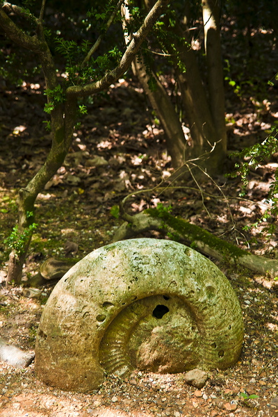 _mg_9336.jpg