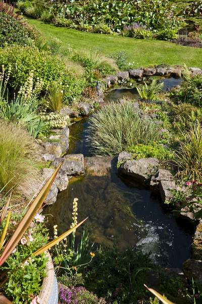 _mg_5734.jpg