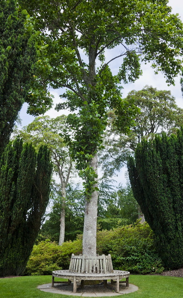 _mg_5925.jpg