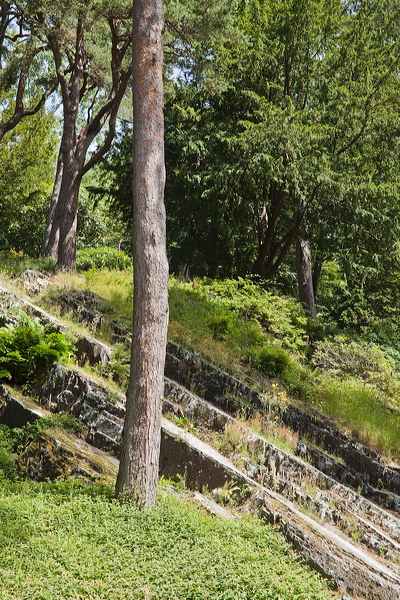 _mg_5960.jpg