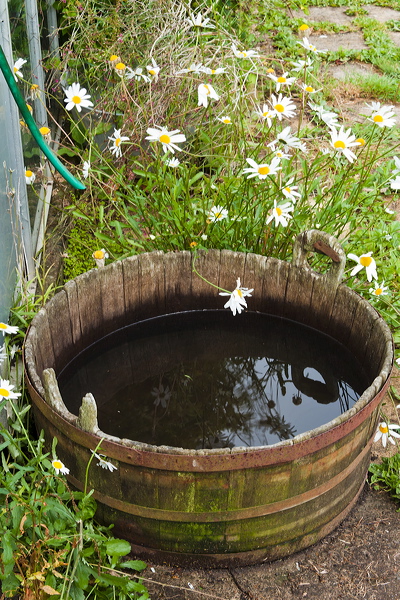 _mg_7118.jpg