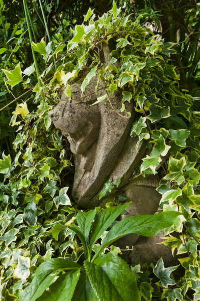 _mg_7386.jpg