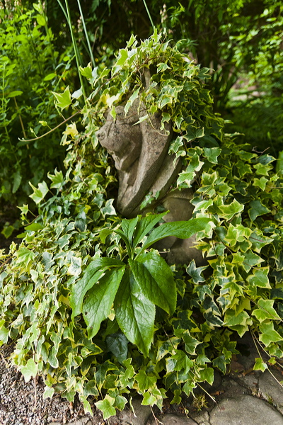 _mg_7388.jpg
