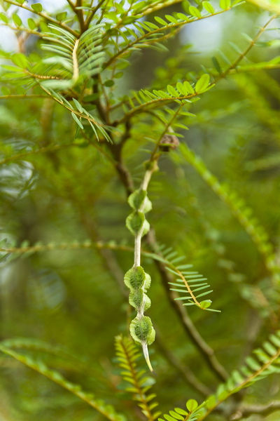 _mg_7451.jpg