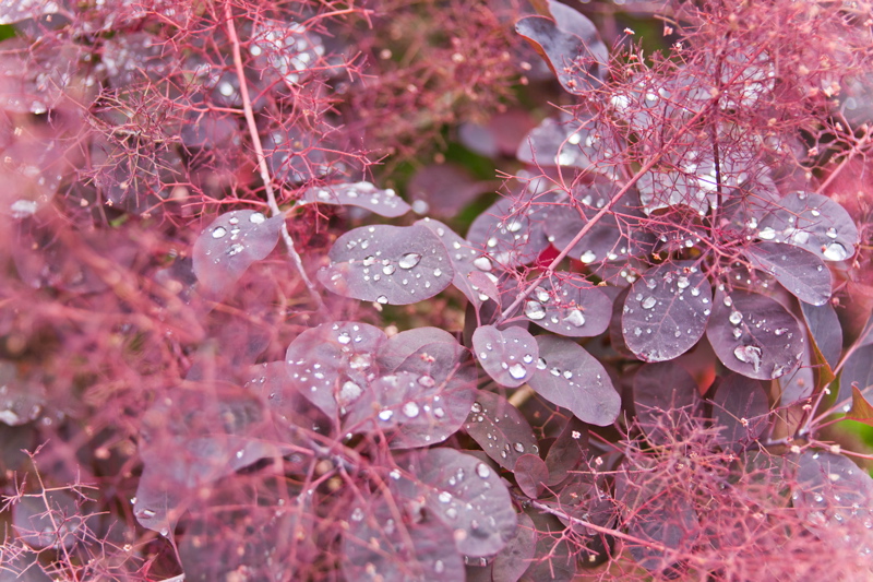_mg_7452.jpg