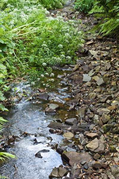 _mg_7525.jpg