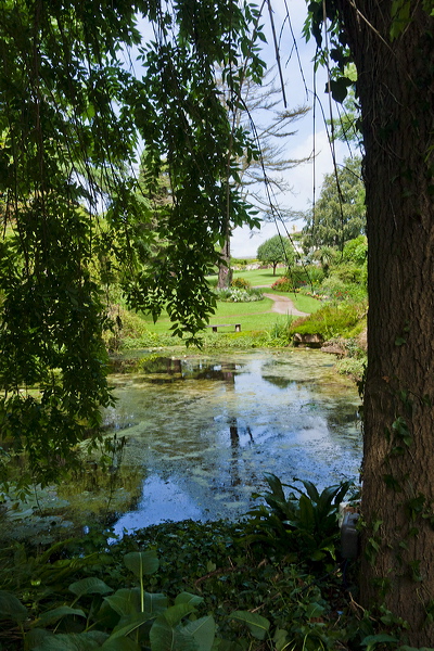 _mg_8275.jpg