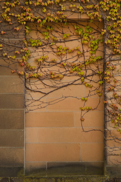 _mg_5485.jpg