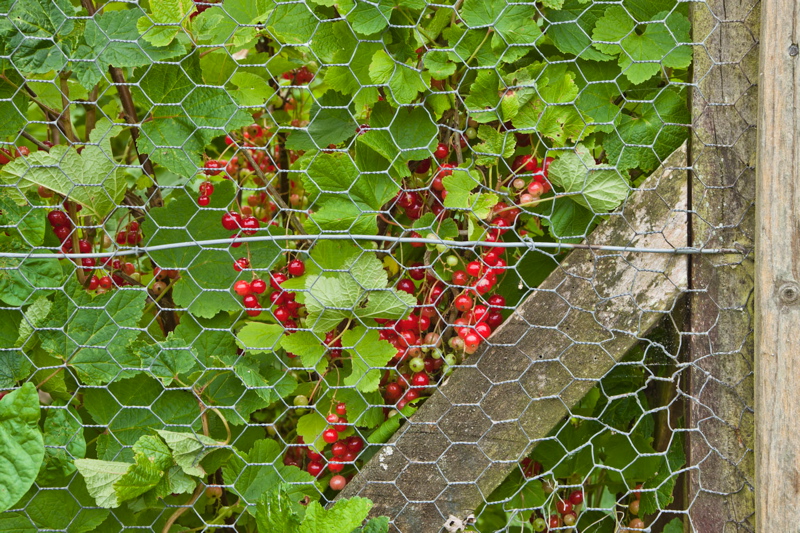 _mg_6964.jpg