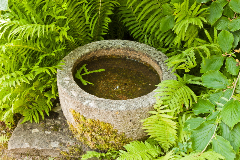 _mg_7753.jpg