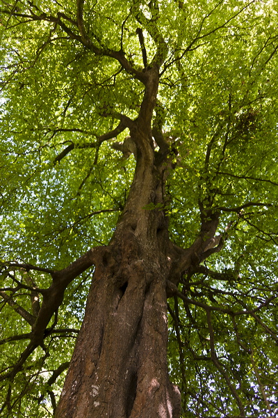 _mg_7298.jpg