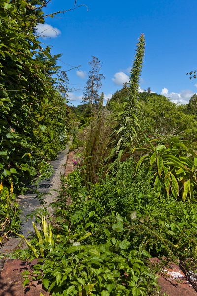 _mg_7326.jpg