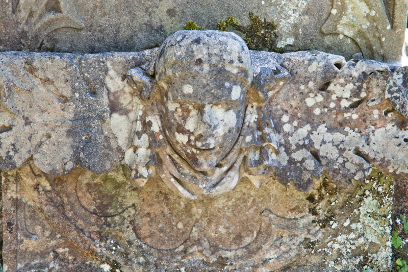 _mg_6518.jpg