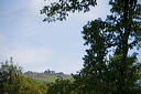 _mg_5367
