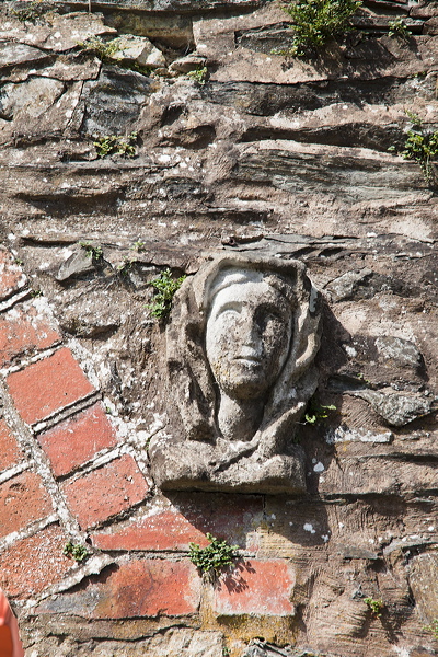 _mg_5365.jpg