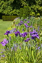 _mg_6254