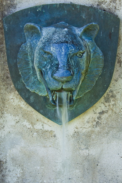 _mg_6228.jpg