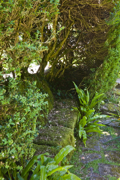 _mg_6295.jpg