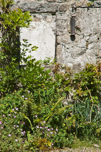 _mg_6310.jpg