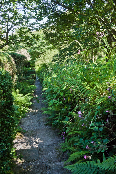 _mg_6342.jpg