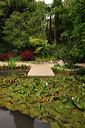 009011