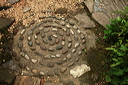 009037