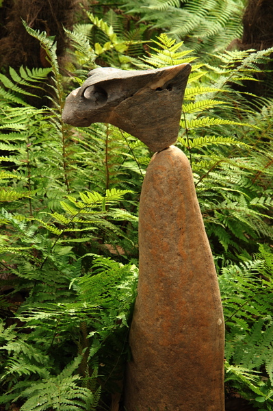009014.jpg