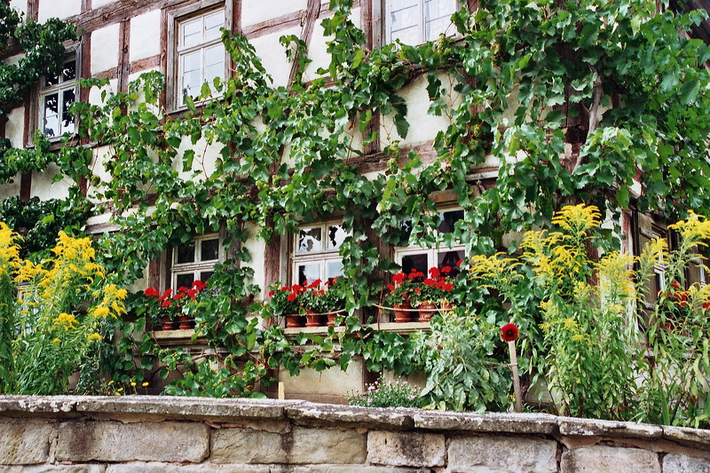 002700_slr.jpg