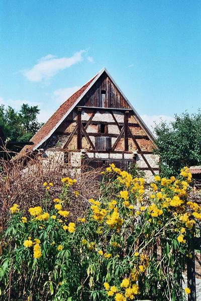 002715_slr.jpg