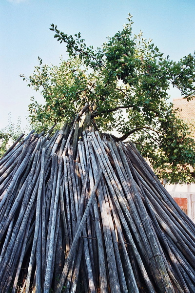 002724_slr.jpg
