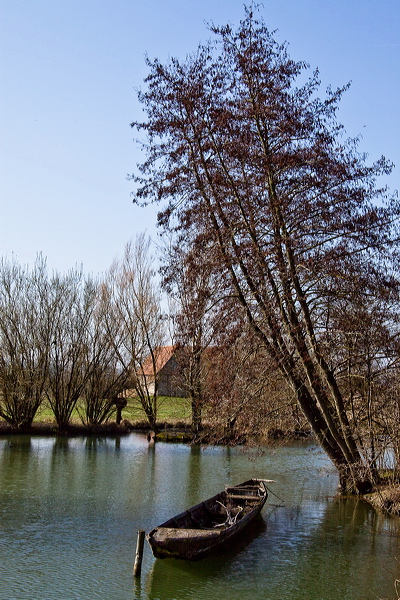 002732.jpg