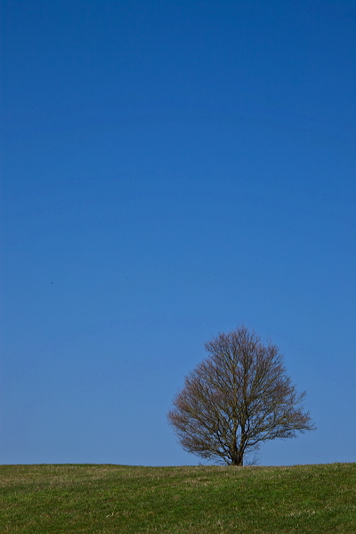 002747.jpg