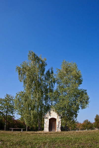 002836.jpg