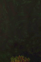 003616