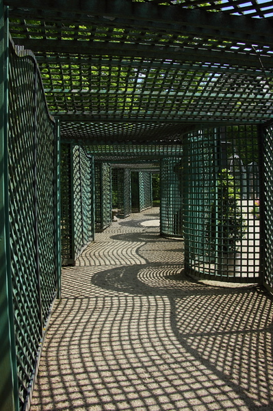 010441.jpg