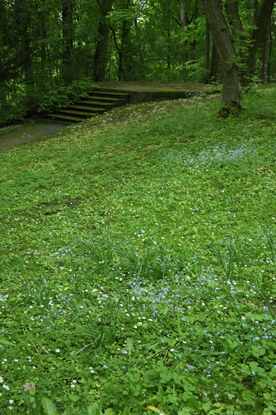 010643.jpg