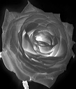 bw_sw_b_03